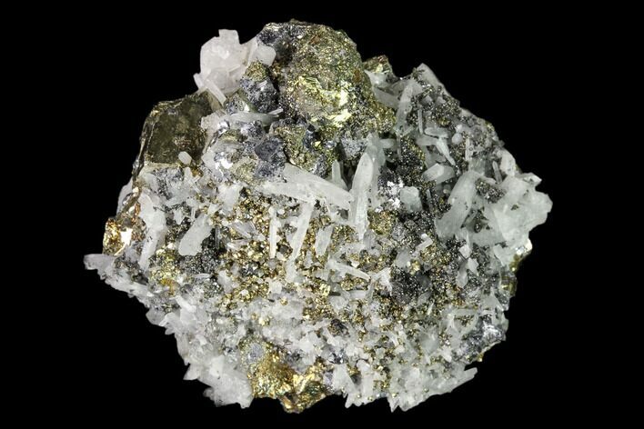 Chalcopyrite, Pyrite, Galena and Quartz Association - Peru #149583